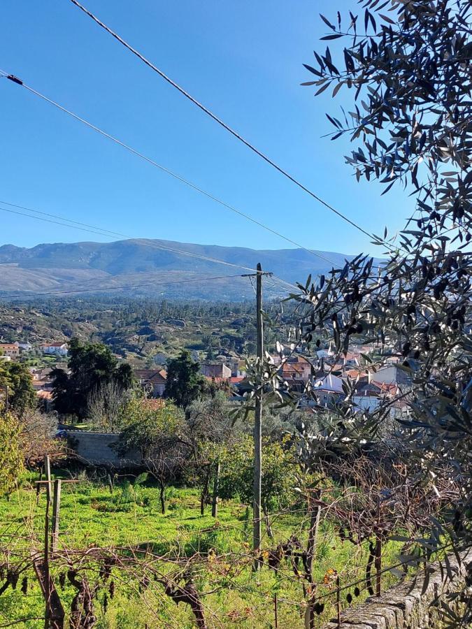 Apartmán Casa Das Cortes - Serra Da Estrela Gouveia  Exteriér fotografie