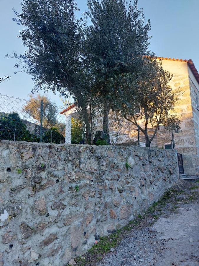 Apartmán Casa Das Cortes - Serra Da Estrela Gouveia  Exteriér fotografie
